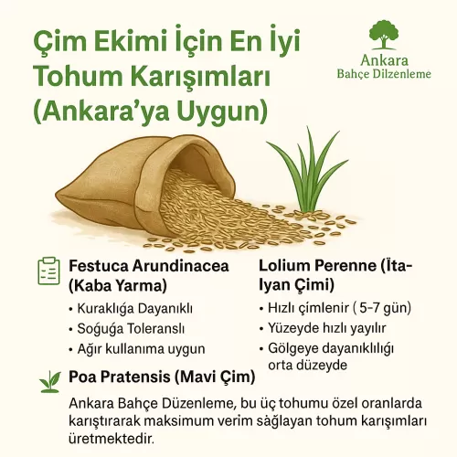 ✅ Ankara Çim Ekimi İçin En İyi Tohum Karışımları