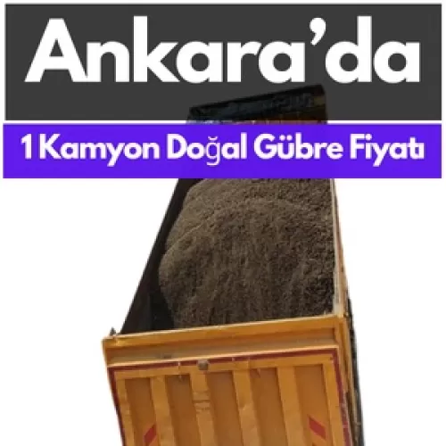 1 Kamyon Doğal Hayvan Gübresi Fiyatı