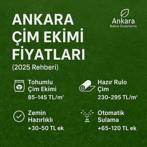 ✅ Ankara Çim Ekimi Fiyatları