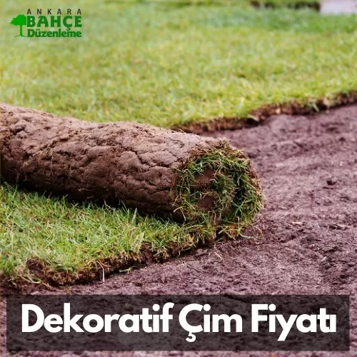 Dekoratif Rulo Çim