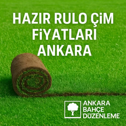 ✅ Hazır Rulo Çim Fiyatları Ankara