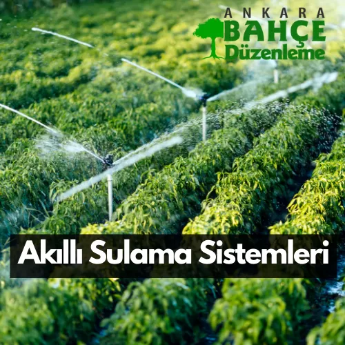 Ankara Akıllı Sulama Sistemleri - Ankara Profesyonel peyzaj uygulamaları 