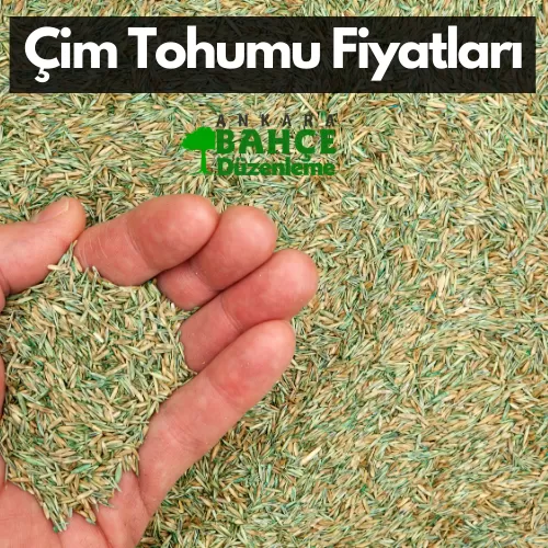 Ankara Çim Tohumu Fiyatları - Çim tohumu çeşitleri ve markaları