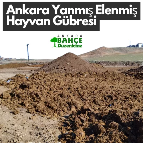 Ankara Doğal Hayvansal Gübre - 2025 hayvansal gübre fiyatları - sığır gübresi satışı