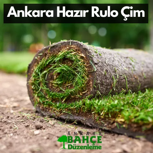 Ankara Rulo Çim - rulo çim serimi - rulo çim uygulama - rulo çim nasıl döşenir