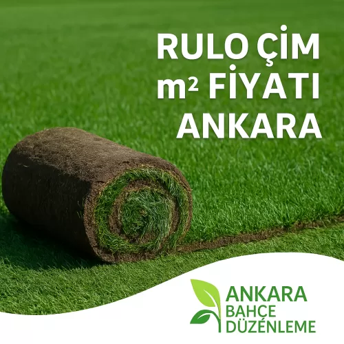 ✅Rulo Çim m² Fiyatı Ankara