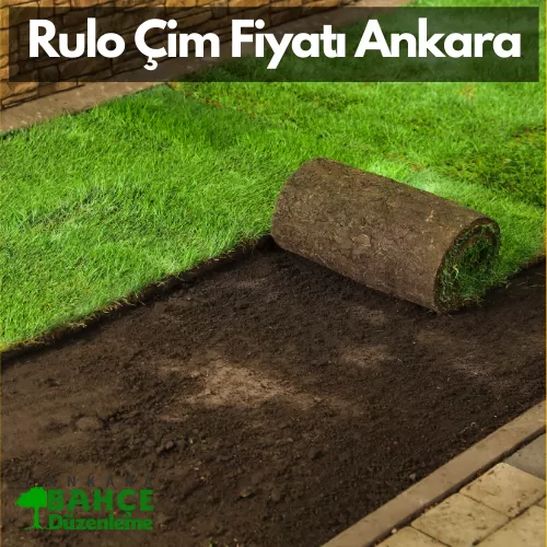 Standart Bahçe Rulo Çim